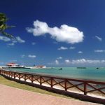images-2021-06-21T214203.001